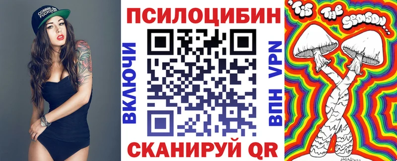 как найти закладки Белорецк Псилоцибиновые грибы Psilocybe